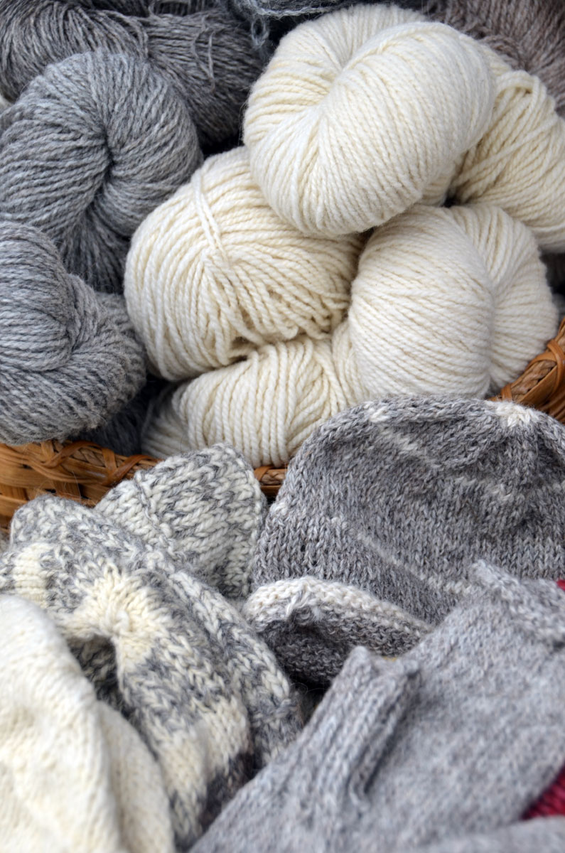 alpacatrax-cormo-wool-knits-02